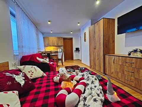 Bed, Kitchen or kitchenette, Photo of the whole room