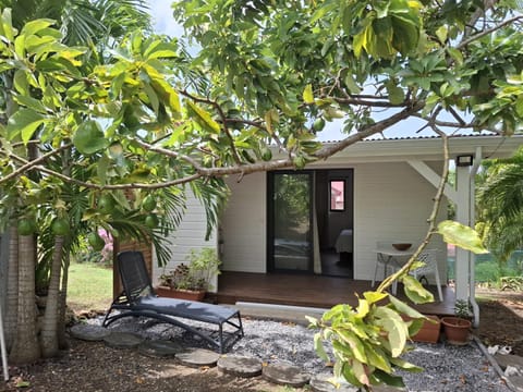 Patio, Garden, Garden view