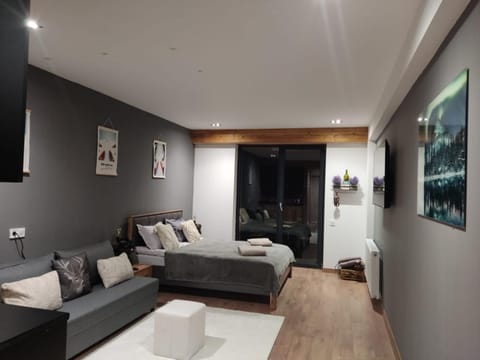 Bed, TV and multimedia, Photo of the whole room