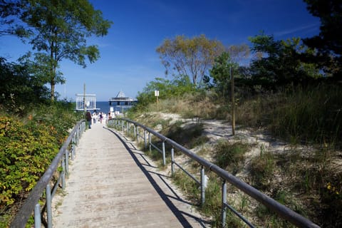 Snorkeling, Beach, Windsurfing