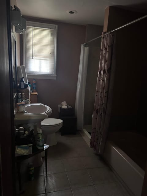 Shower, Toilet, Bathroom