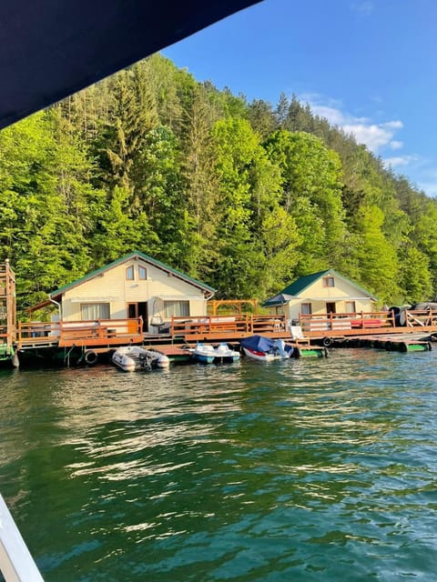 Lake view