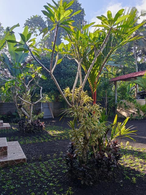 Kawandini Homestay Vacation rental in Sidemen