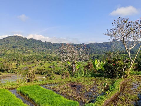 Nearby landmark, Natural landscape