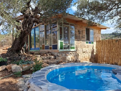 Property building, Patio, Spring, Natural landscape, Garden, Garden view, Pool view, Swimming pool