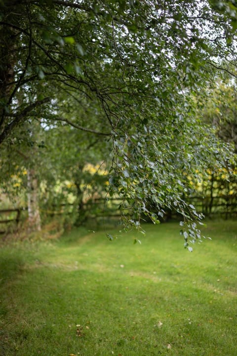 Moore's Cottage House in Ireland