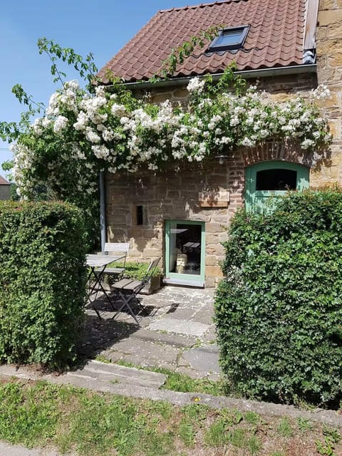 Property building, Spring, Garden, Garden view