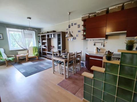 Kitchen or kitchenette, Living room, Seating area, Dining area