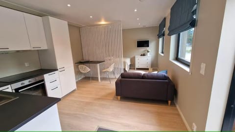 View (from property/room), Living room, kitchen
