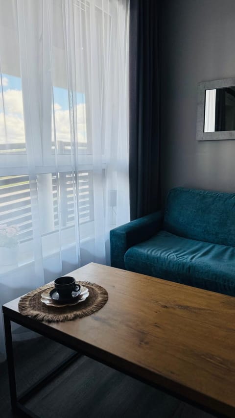 Apartament Holiday Grey Apartment in West Pomeranian Voivodeship, Poland