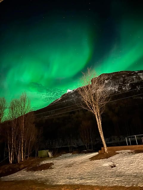 Nearby landmark, Night, Mountain view