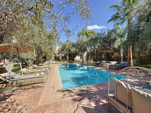 Garden, Garden view, Pool view, sunbed