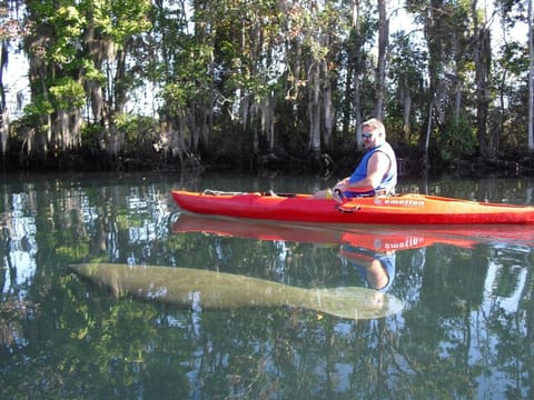 Large Waterfront canal home W Kayaks and covered boathouse House in Florida