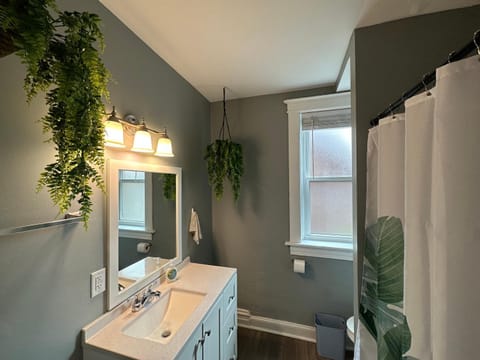 Cute Neighborhood Rainbow Apt Apartment in Richmond Heights