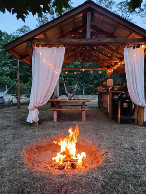 Natural landscape, BBQ facilities, Garden, Garden view