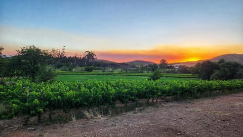 Natural landscape, Sunset