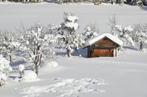 Feichtlhof Apartment in Schladming