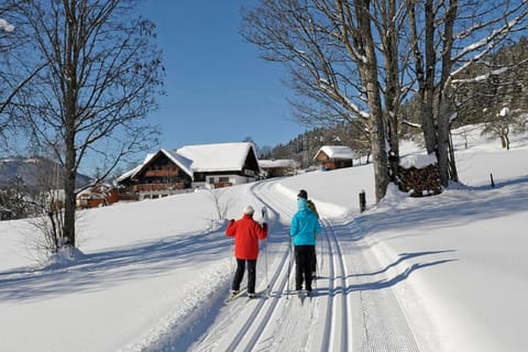 Feichtlhof Apartment in Schladming