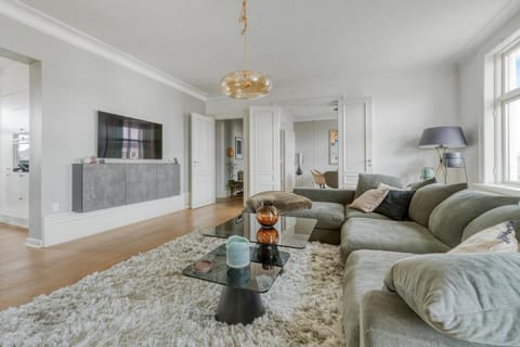 Stylish & Spacious Apt in CPH Apartment in Frederiksberg