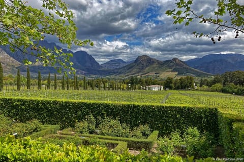 Lily Pond House at Le Lude Villa in Franschhoek