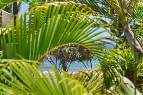 Maui Banyan A-202 Apartment in Wailea