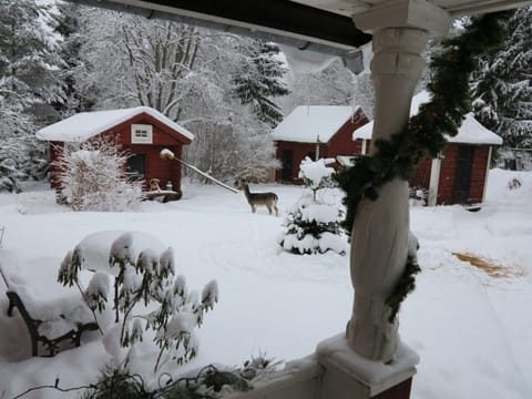 Winter