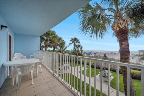 Sand Dollar 103 Apartment in Redington Shores