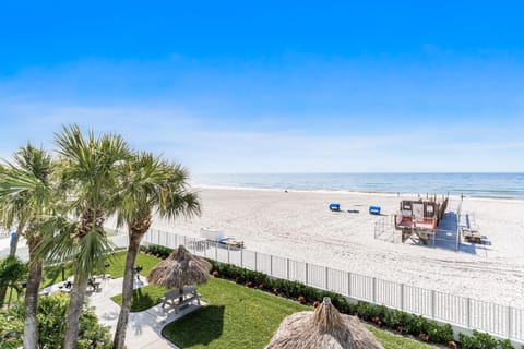 Day, Natural landscape, Garden, Beach