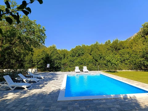 Garden, Pool view, Swimming pool, sunbed