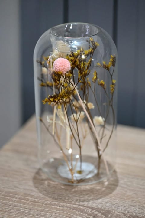 Dubravka Apartment in Slavonski Brod