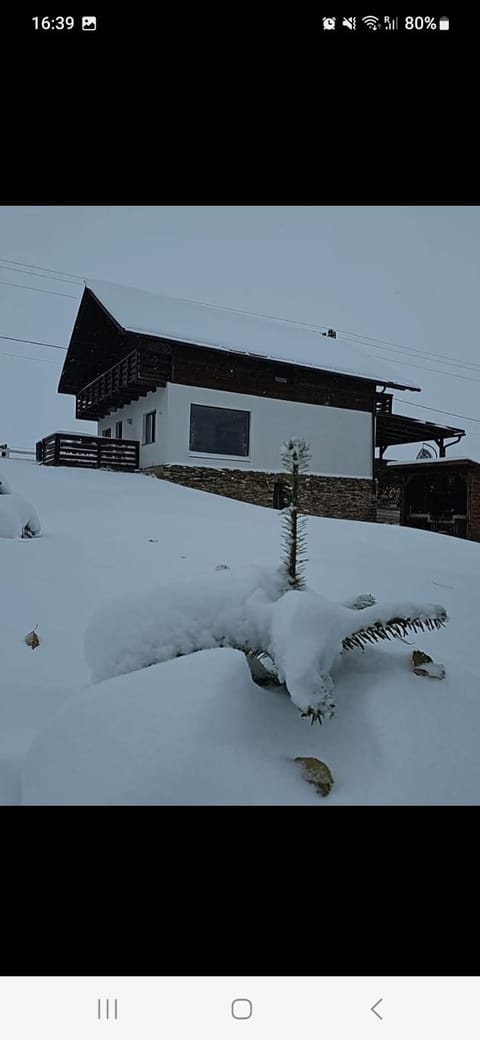 Property building, Winter