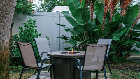 Pelican's Perch in Downtown EGAD House in Melbourne