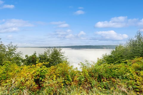 Whimsical Getaway House in Langley