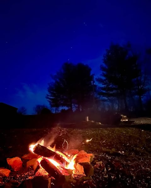 Night, fireplace