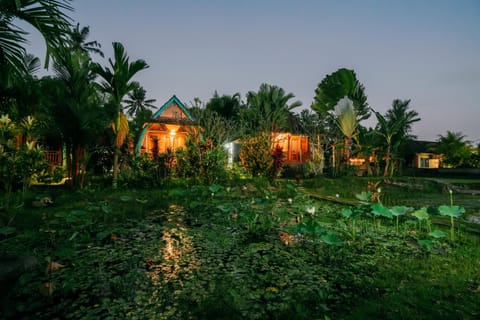 Property building, Spring, Night, Natural landscape, Garden, Garden view