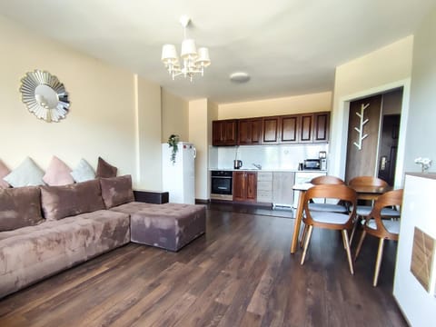 Kitchen or kitchenette, Living room, dishwasher, oven, pet friendly, stove