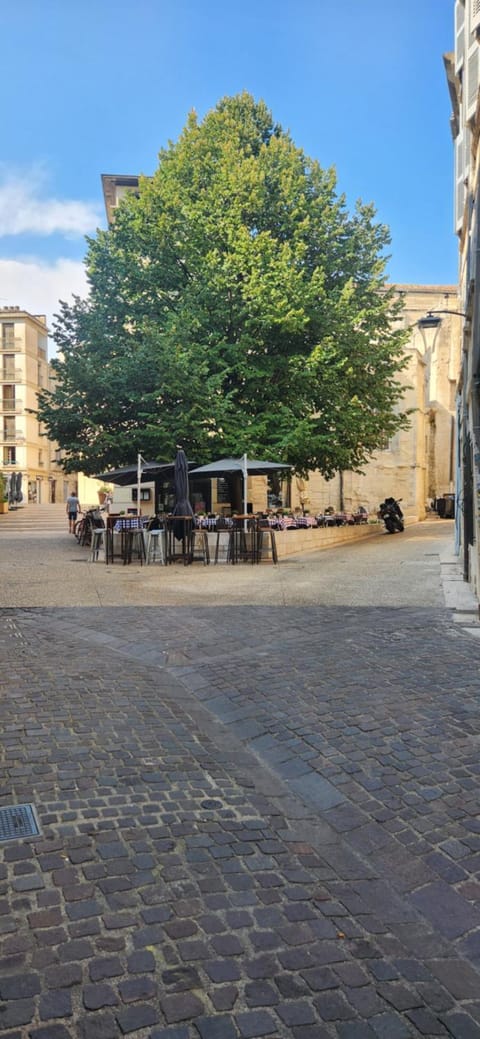 Petit cocon au coeur Avignon Apartment in Avignon