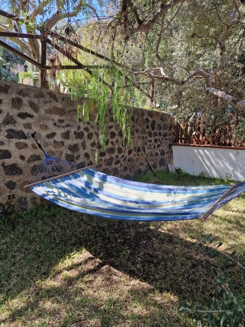 Day, Garden, Garden view