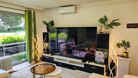 TV and multimedia, Living room, air conditioner