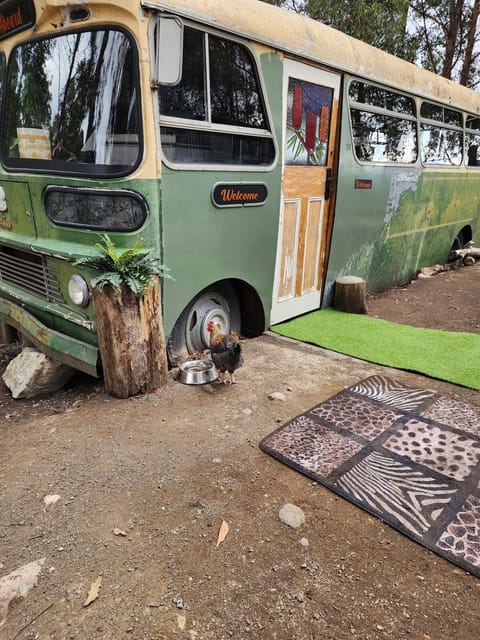 Banksia Bus Docked boat in Tasmania