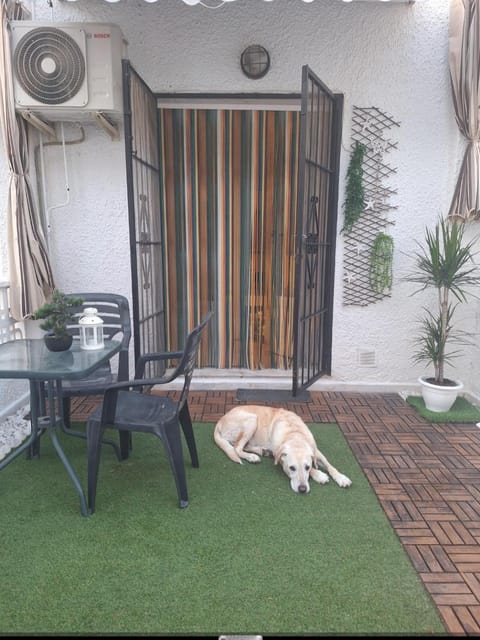 Patio, Pets