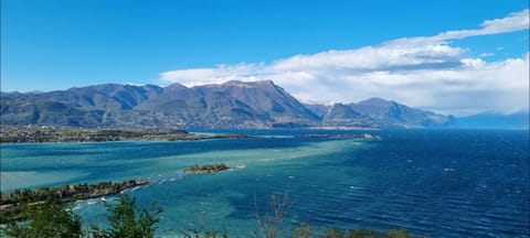 Lake view