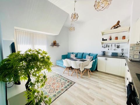 Coffee/tea facilities, Kitchen or kitchenette, Living room, Seating area, Dining area, internet, oven, stove, air conditioner