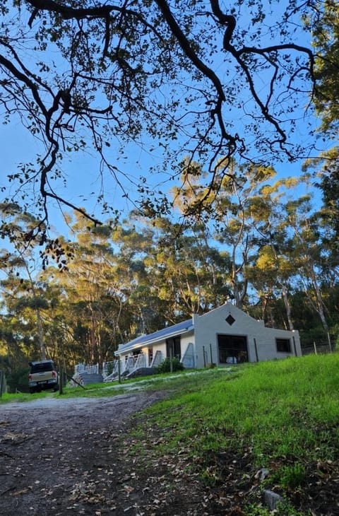 Property building, Natural landscape