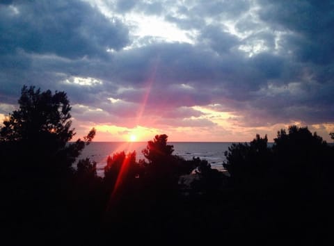 Sunrise