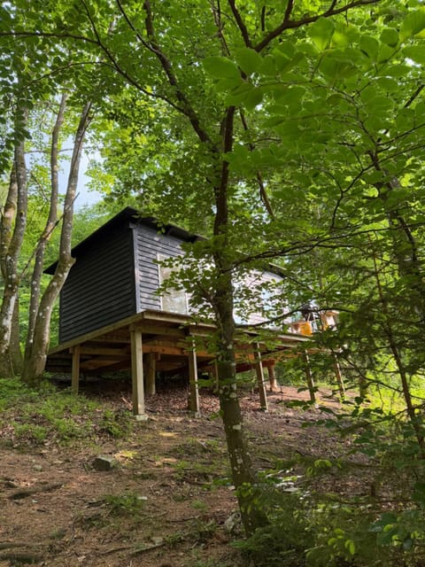 Idylisk primitiv hytte midt i skoven Luxury tent in Central Denmark Region