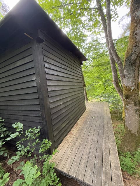 Idylisk primitiv hytte midt i skoven Luxury tent in Central Denmark Region