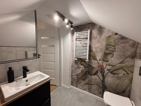 Toilet, Bathroom, towels