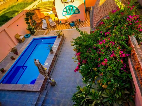 Garden, Garden view, Pool view, Swimming pool, Swimming pool, sunbed