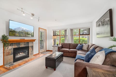TV and multimedia, Living room, fireplace